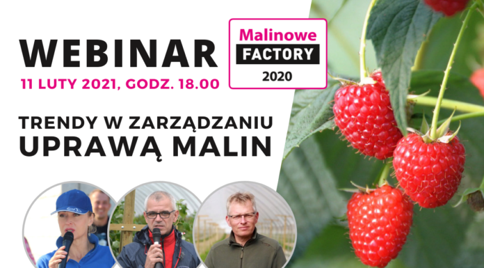 Webinar: Trendy w zarządzaniu uprawą malin