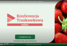 Cykl konferencji Agrosimex 2021 – Wiedza plonuje !
