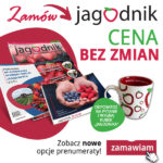 POP UP jagodnik 600×600 – 1-2021 v2