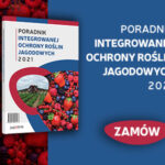 Poradnik baner 356×300
