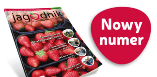 Jagodnik 1/2021 – już w sprzedaży