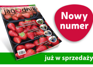 Jagodnik 1/2021 – już w sprzedaży