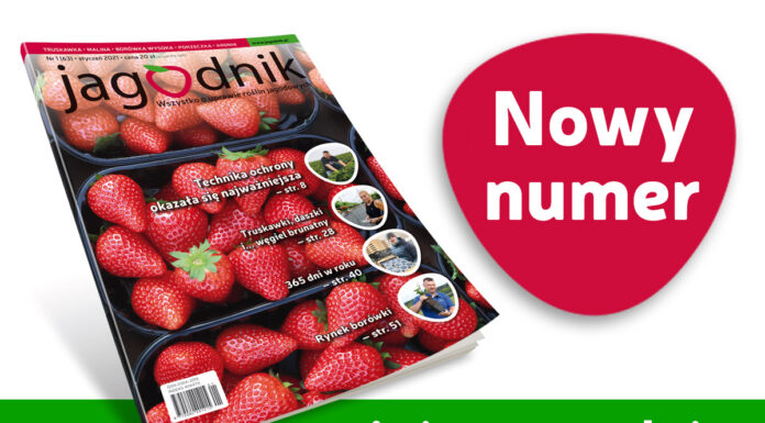 Jagodnik 1/2021 – już w sprzedaży