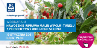 Webinar: Nawożenie i uprawa malin w polu i tunelu z perspektywy ubiegłego sezonu