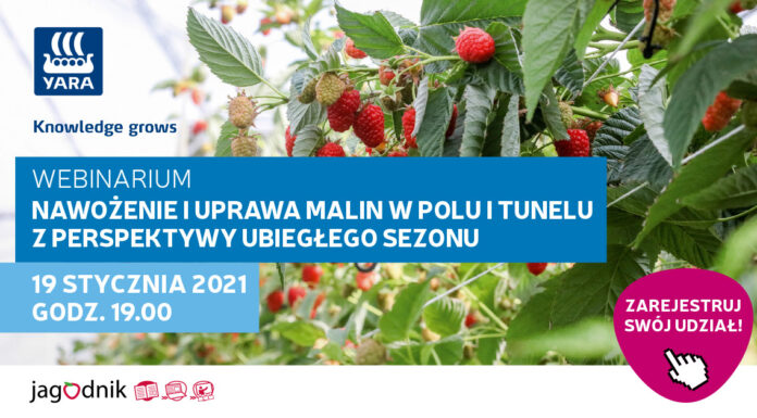 Webinar: Nawożenie i uprawa malin w polu i tunelu z perspektywy ubiegłego sezonu