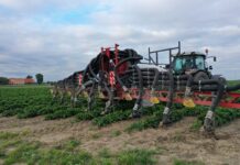 Nowa koncepcja belki opryskowej dla truskawek – czy się sprawdza?