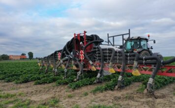 Nowa koncepcja belki opryskowej dla truskawek – czy się sprawdza?