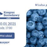 baner-borowkowy-600×400