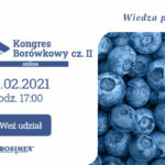 baner-borowkowy_2-02-2021_600x400