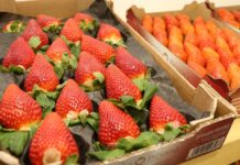 Carrefour we Francji nie będzie sprzedawał truskawek w styczniu