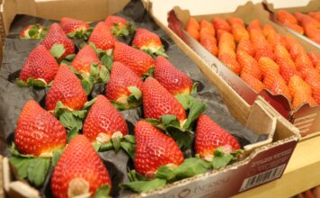Carrefour we Francji nie będzie sprzedawał truskawek w styczniu