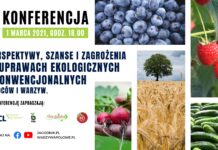 Perspektywy, szanse i zagrożenia w uprawach ekologicznych i konwencjonalnych owoców i warzyw