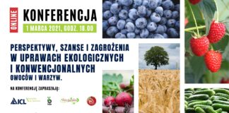 Perspektywy, szanse i zagrożenia w uprawach ekologicznych i konwencjonalnych owoców i warzyw