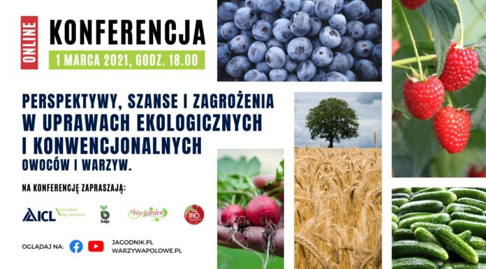 Perspektywy, szanse i zagrożenia w uprawach ekologicznych i konwencjonalnych owoców i warzyw