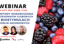 Metody ograniczania szkodników glebowych i biostymulacji roślin jagodowych