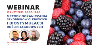 Metody ograniczania szkodników glebowych i biostymulacji roślin jagodowych