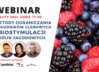 Metody ograniczania szkodników glebowych i biostymulacji roślin jagodowych