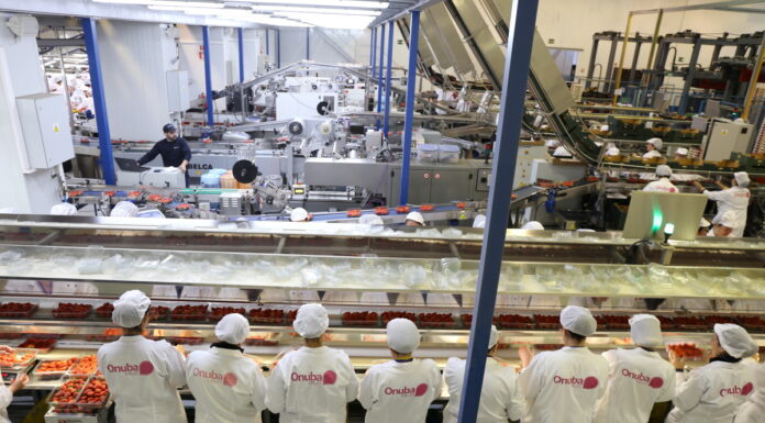 Onubafruit rozpoczyna zbiory nowych bardzo wczesnych borówek. Sprzedano o 70% więcej malin. Koszty produkcji truskawek trudne do oszacowania