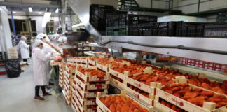 Grupy i organizacje producentów rolnych jako recepta na rozwiązanie problemów rynkowych? onubafruit