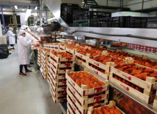 Grupy i organizacje producentów rolnych jako recepta na rozwiązanie problemów rynkowych? onubafruit