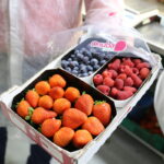 Mniejsza produkcja truskawek, malin i borówek w Hiszpanii.