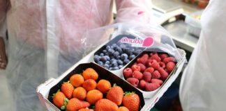 Mniejsza produkcja truskawek, malin i borówek w Hiszpanii.