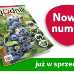 Jagodnik_nowy_numer_2-2021J_2_2021