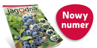 Jagodnik 2/2021 już w sprzedaży