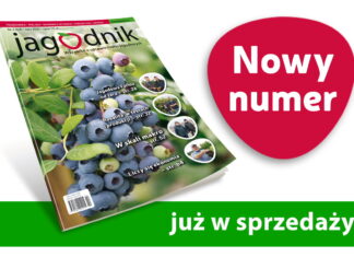 Jagodnik 2/2021 już w sprzedaży