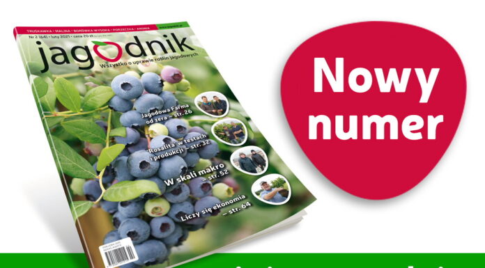 Jagodnik 2/2021 już w sprzedaży