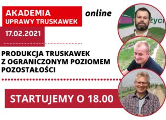 Produkcja truskawek z ograniczonym poziomem pozostałości