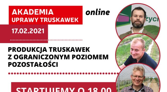 Produkcja truskawek z ograniczonym poziomem pozostałości