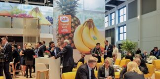 Dole i Total Produce ogłaszają plan połączenia