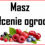 ecogrupa2021