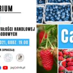 30 marzec 2021, godz. 19.00