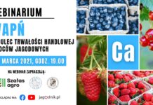 Wapń – budulec handlowej trwałości owoców jagodowych