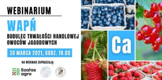 Webinar: Wapń – budulec trwałości handlowej owoców jagodowych