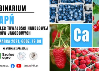Wapń – budulec handlowej trwałości owoców jagodowych
