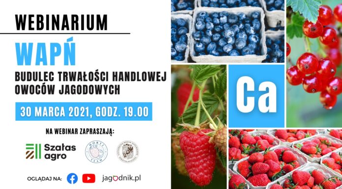 Webinar: Wapń – budulec trwałości handlowej owoców jagodowych