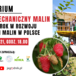 9 marca 2021, godz. 18.00