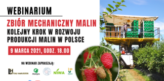 🔴NA ŻYWO: Zbiór mechaniczny malin – kolejny krok w rozwoju produkcji malin w Polsce