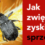 CO-truskawka-750×200-portal-2021-v1