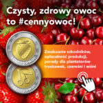 Cennyowoc