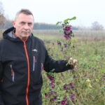 Fot. 1. Krzysztof Rzeźnicki w swym gospodarstwiejagodnik_4_21