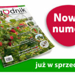 Jagodnik_nowy_numer_3-2021