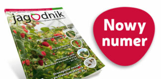 Jagodnik 3/2021 już w sprzedaży