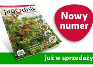 Jagodnik 3/2021 już w sprzedaży