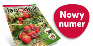Jagodnik 4/2021 – już w sprzedaży