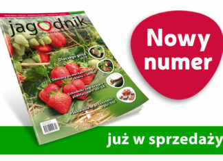 Jagodnik 4/2021 – już w sprzedaży