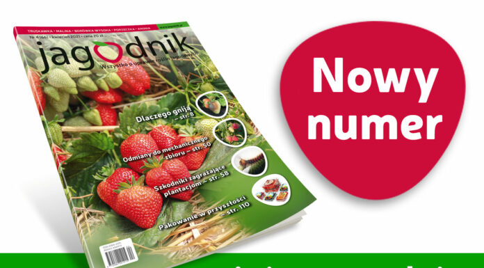 Jagodnik 4/2021 – już w sprzedaży